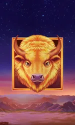 Buffalo's Sun 2